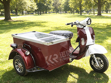 Electric Cargo Tricycle with Freezer