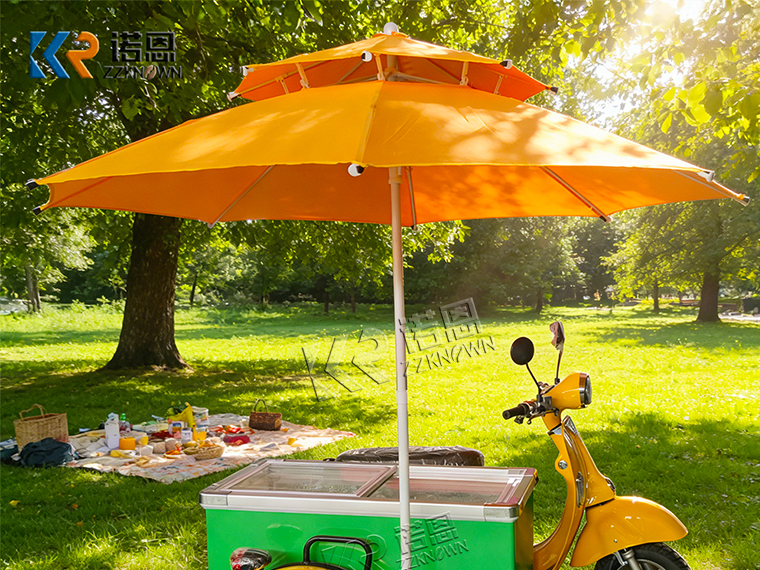 Electric Cargo Tricycle with Freezer