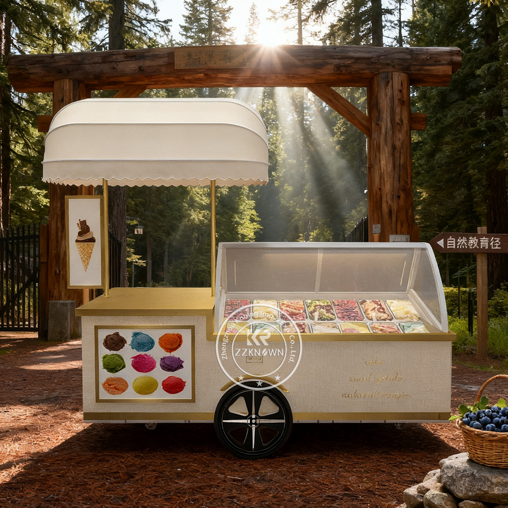 Food Truck Carts UK | Compact & Fully Equipped by ZZKNOWN